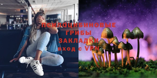 соль ск Медногорск