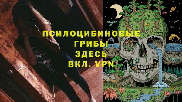 первитин Медвежьегорск