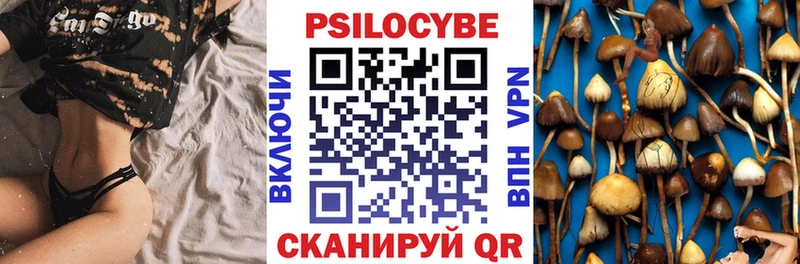 купить   кракен ссылки  Галлюциногенные грибы Magic Shrooms  Самара 