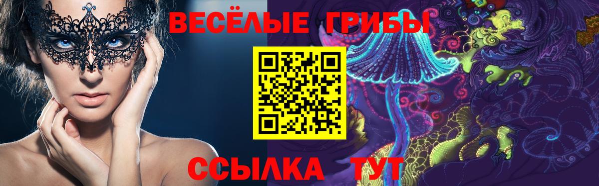 Псилоцибиновые грибы мицелий Самара